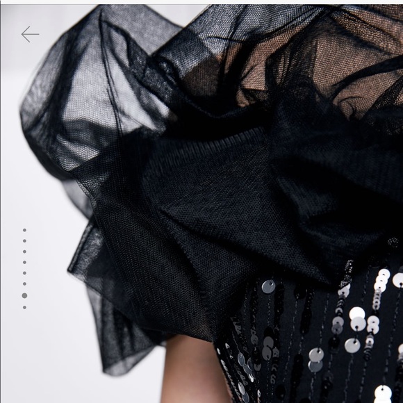 ZARA | Combination Sequin Dress - Picture 8 of 10